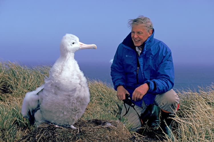 David Attenborough with an Albatross